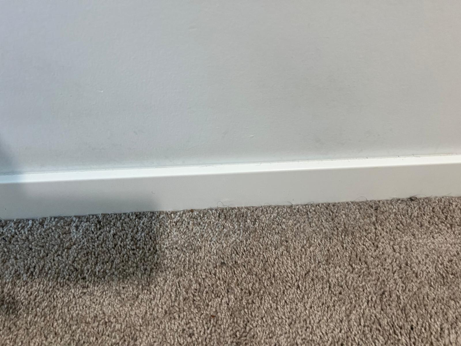 After carpet cleaning